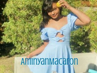 AminyanMacaron