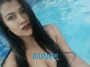 AnyMeel
