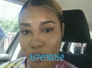 Aspen_Rose