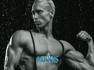 Adonis_