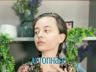 Aftonhase