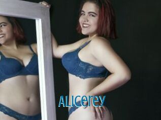 Alicerey