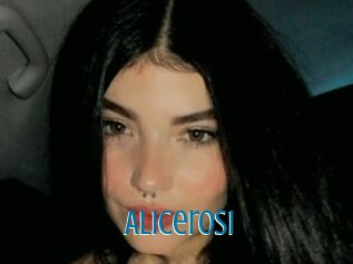 Alicerosi
