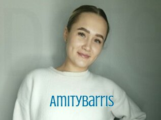 Amitybarris