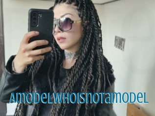 Amodelwhoisnotamodel