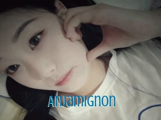 Anjamignon