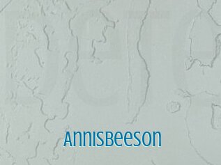 Annisbeeson