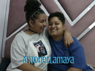 Antonellamaya