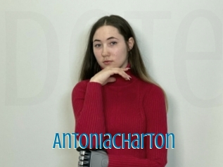 Antoniacharton