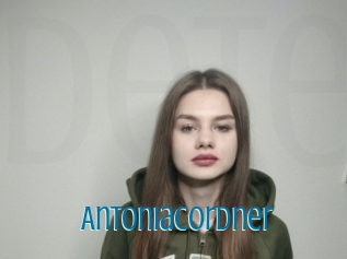 Antoniacordner