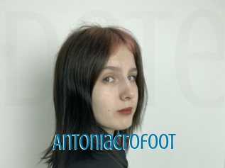 Antoniacrofoot
