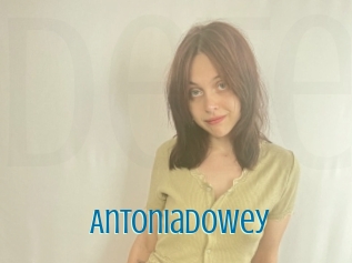Antoniadowey