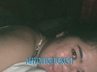 Antoniarieken