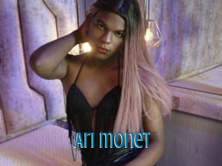 Ari_monet