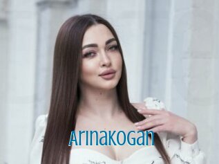 Arinakogan