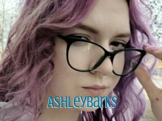 Ashleybarks