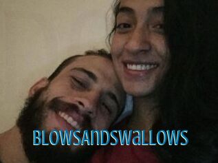 BlowsAndSwallows
