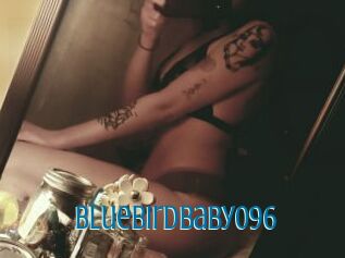 Bluebirdbaby096