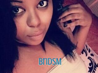 BriDsM