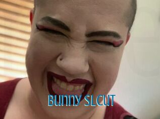 Bunny_Slcut