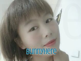 Bunnyhere