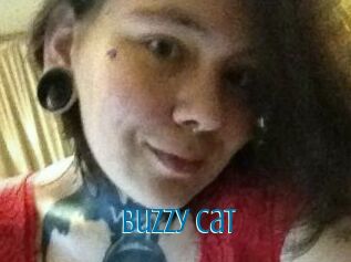 Buzzy_Cat