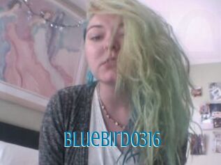 Bluebird0316