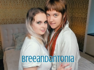 Breeandantonia