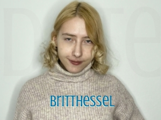 Britthessel