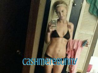 Cashmerebunny