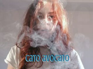 Cato_avocato