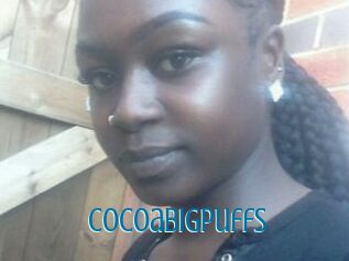 Cocoabigpuffs