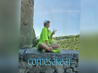 Cornesakeat