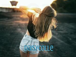 DaisyColle