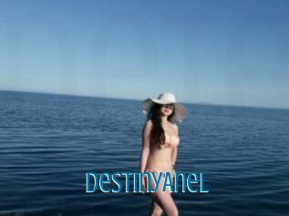 DestinyAnel