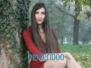Didgeridoo