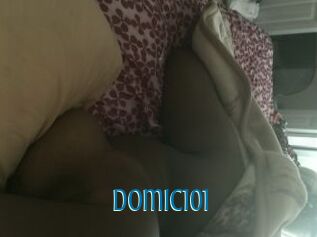 Domic101