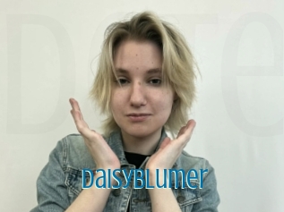 Daisyblumer