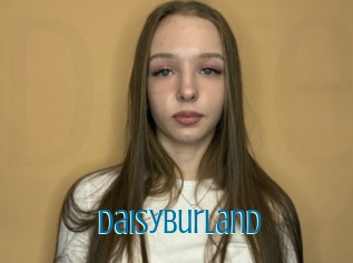 Daisyburland