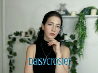 Daisycrosier