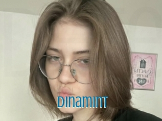 Dinamint