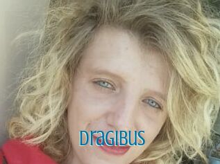 Dragibus