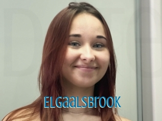 Elgaalsbrook