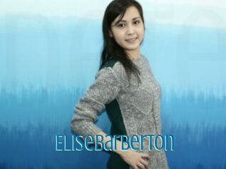 Elisebarberton
