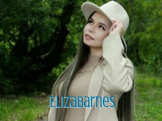 Elizabarnes