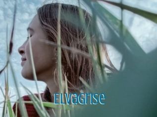 Elvagrise