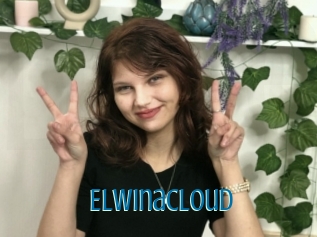 Elwinacloud
