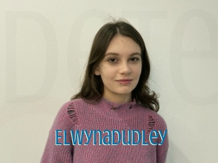 Elwynadudley