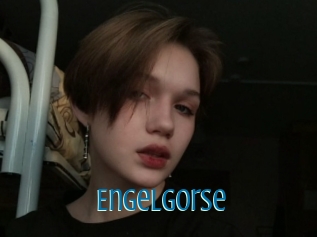 Engelgorse