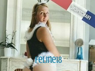 Feline18